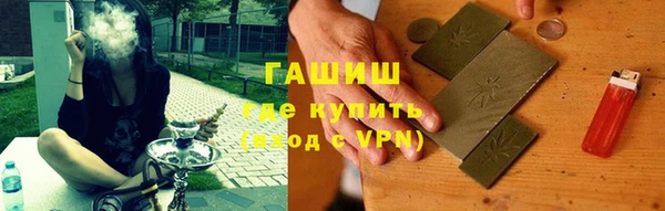спиды Богородицк