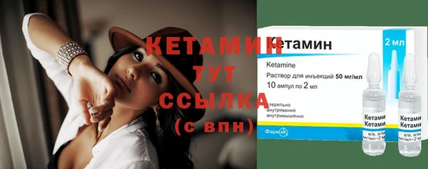 спиды Богородицк