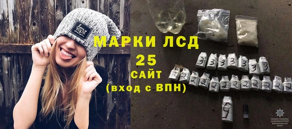 spice Богородск