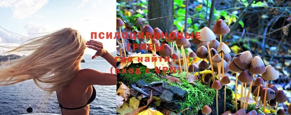 spice Богородск