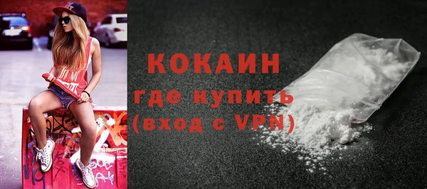 спиды Богородицк