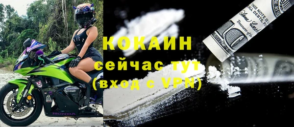 гашиш Богданович