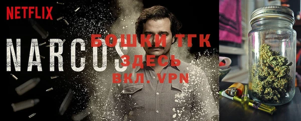 спиды Богородицк