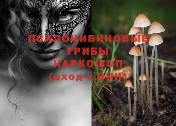 винт Армянск