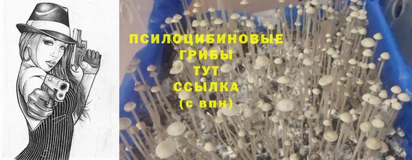 spice Богородск