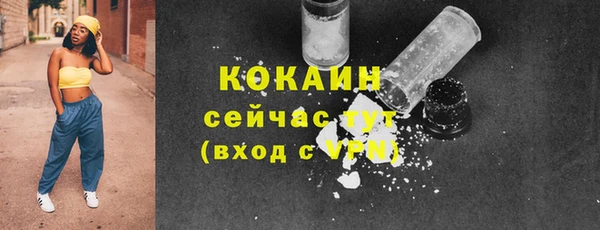 гашиш Богданович