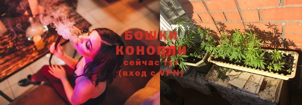 спиды Богородицк